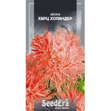 Семена Астра "Харц Холандер" смесь 0,25г